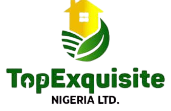 Top Exquisite Nigeria Ltd logo